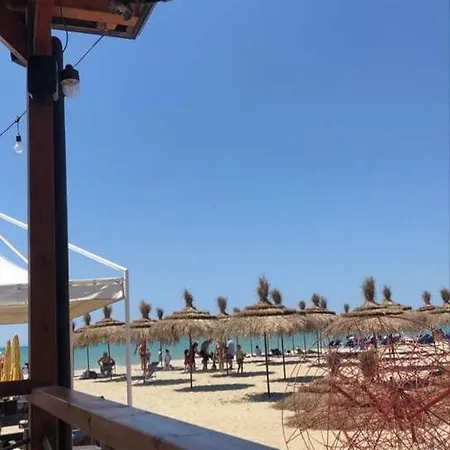 Sunny